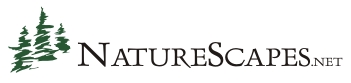 Naturescapes
