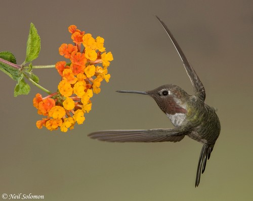 ?&yacute;&otilde;\nŠ]}‚&para;&uuml;I&eth;&ordm;1&pound;&Ograve;&Uuml;&uacute;&shy;h&Ouml;&raquo;w&middot;c&Uuml;&Atilde;&ocirc;Q&aelig;&sup2;c&aacute;8&yen; &E&Auml;H&iquest;&Ntilde;&acirc;n&ograve;x&ograve;&ntilde;&Ccedil;, eš•V&szlig;&curren;&iexcl;„&euml;&shy;sqˆx